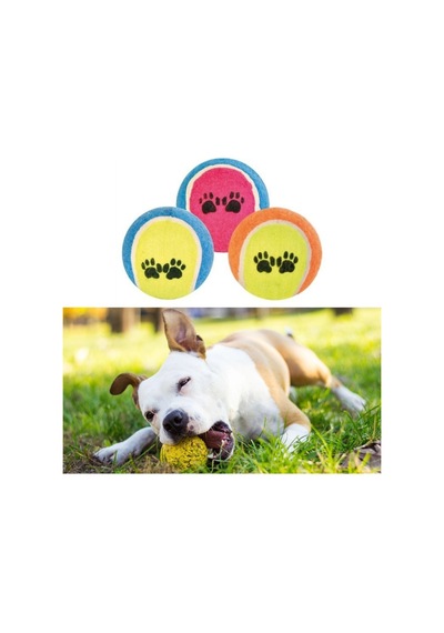 Köpek Oyuncağı 3 Parça Desenli Tenis Topu Kedi Renkli