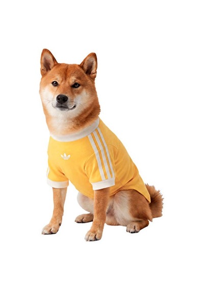 Adidas Pet Calı Tee Kedi-köpek Tişörtü Ky8731 Sarı