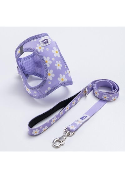 Purple Dream Göğüs Tasması Ve Sevk Kayışı Tasma Seti Papatya Desenli Kedi Köpek Göğüs Tasması Seti Lila