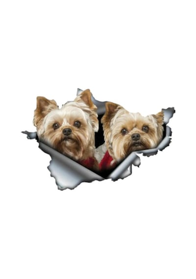 Yorkies Çift Etiket Araba Sticker Yapıştırması 19 Cm