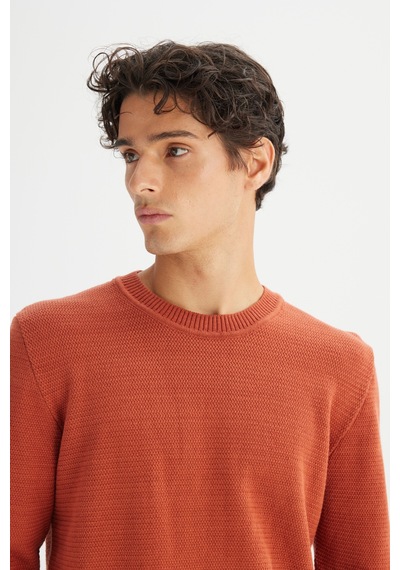 Lee %100 Pamuk Regular Fit Erkek Triko Kazak L2520373222 Turuncu