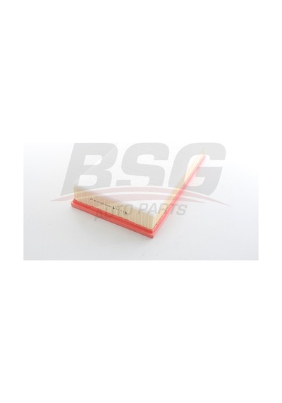 Bsg Hava Fıltresı E1305l Sungerlı