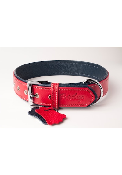 Privilege Flotter Hakiki Deri Köpek Boyun Tasması S Kırmızı Lacivert 2.5 x 32-41 CM Kırmızı