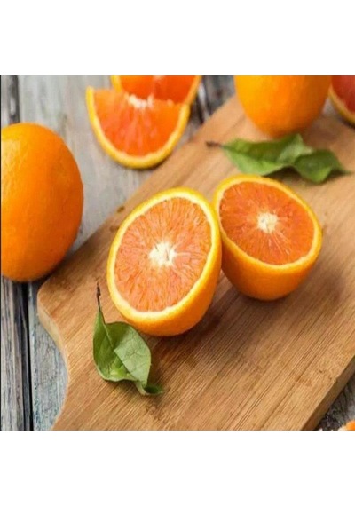 Tüplü Aşılı Fukumoto Portakal Fidanı 2 Yaş 100-120 Cm