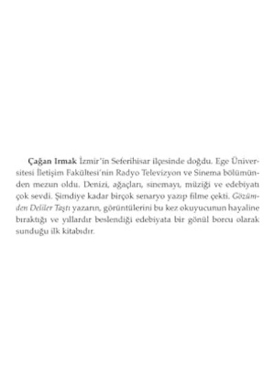 Gözümden Deliler Taştı