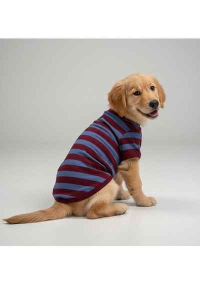 Miniş Trabzon Fans Basic Kaşkorse Köpek Sweatshirtü-21632