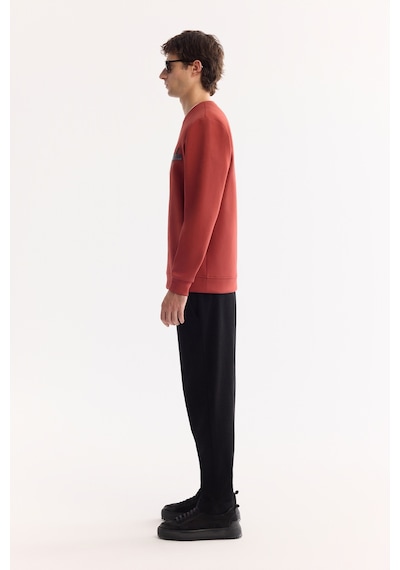 Avva Erkek Kiremit Bisiklet Yaka Pamuklu Bi-stretch Baskılı Regular Fit Sweatshirt A52y1260