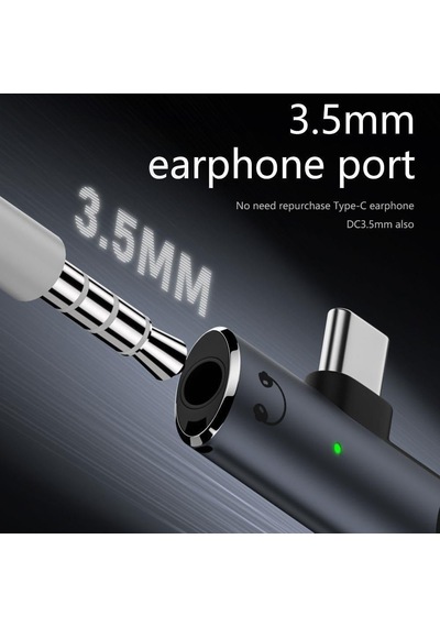 Lexroo 2in1 Type C To 3.5mm Kulaklık Type C 100w Hızlı Şarj Dönüştürücü Otgcx Standart