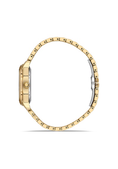 Ferro Fl21632awt-b Quartz Çelik Altın Rengi 32 Mm Kadın Kol Saati Altın