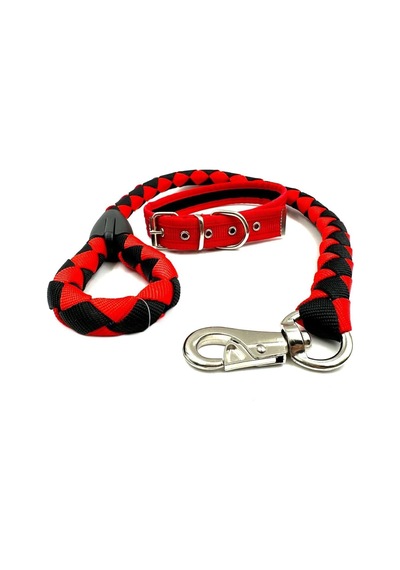 Orta Irk Köpek Gezdirme Ve Boyun Tasması Seti