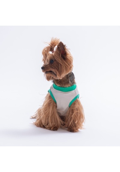 Grey-gri Good Vibes Tişört Kedi Köpek Tişörtü-kedi Köpek Kıyafeti