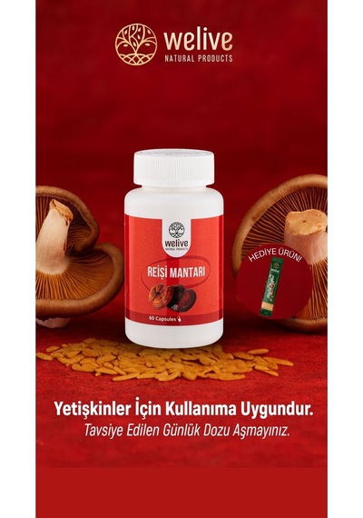 Reişi Mantarı 1000 Mg Günlük Destek 60 Kapsül Bitkisel Takviye