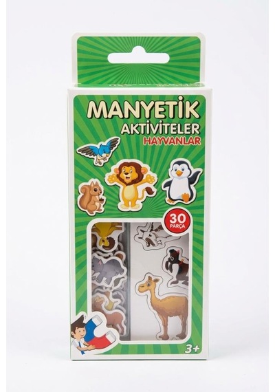 4'lü Magnet Oyun Seti 30 Parça Taşıtlar Meyveler Hayvanlar Ve 70 Parça Alfabe Oyun Seti