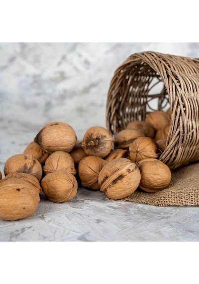 Kabuk İçi Kuruyemiş Kabuklu Ceviz Maraş 500 G