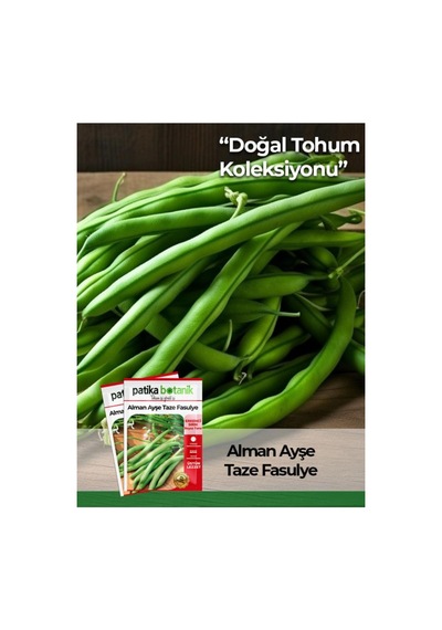 40 Adet Ata Tohumu Alman Ayşe Fasulye