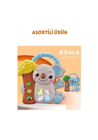 8808-c Koalalı Piyano 8 Li Box -cn