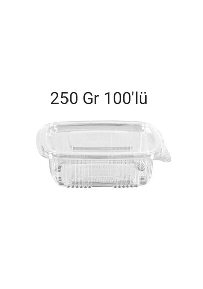 NicePlast Sızdırmaz Gıda Kabı 100'lü 250 Cc