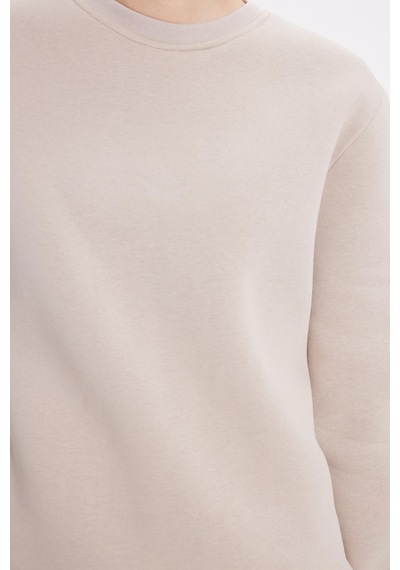 Tudors Kadın Oversize Geniş Kesim Pamuklu 3 İplik İçi Polarlı Basic Taş Bisiklet Yaka Sweatshirt-42070 Taş