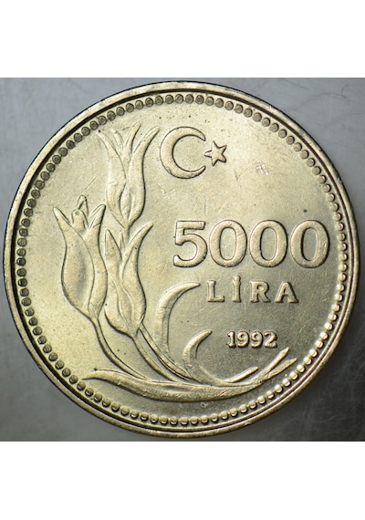 5000 Lira 1992 Çilaltı+