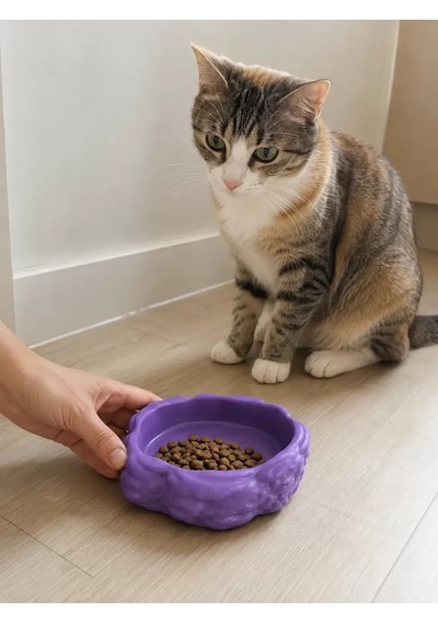 Hubrendy Sh Eko Form Model Beton Kedi Köpek Mama Ve Su Kabı 16cm 16cm 5.5cm - Mor