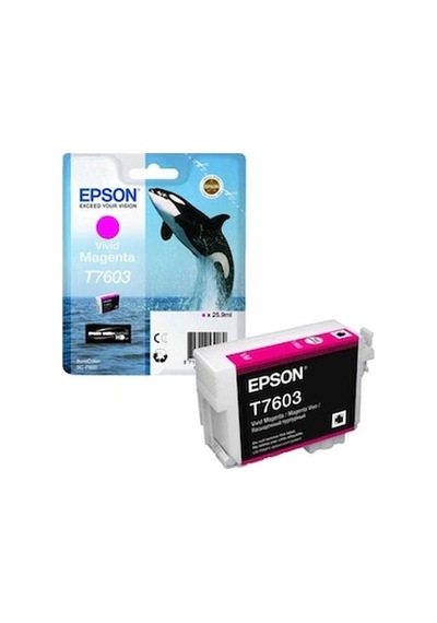 Epson T7603-c13t76034010 Kırmızı Kartuş