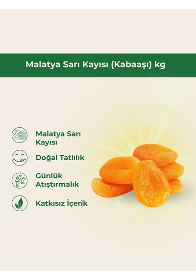 Malatya Sarı Kayısı Kabaaşı Kg-6695