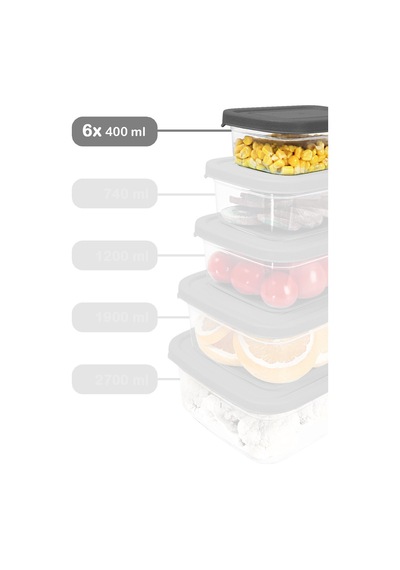 Meleni Home 6 Adet Dikdörtgen Erzak Saklama Kabı - Mikrodalgaya Uygun Düzenleyici Organizer 400 ML Gri