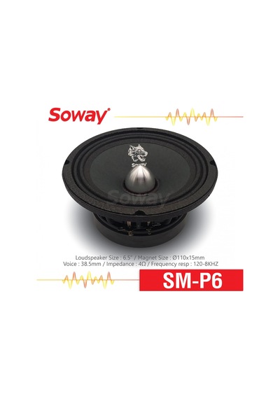 Soway P6 16 Cm Kurşun Göbek Profesyonel Midrange 300w 100rms 2adt