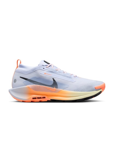 Nike Pegasus Trail 5 Gore-tex Erkek Koşu Ayakkabısı Dar Kalıp Fq0908-011 Mavi - 922398676 Mavi