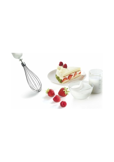Bosch MSM66150 Ergomixx 600 W Mikser & Blender Seti