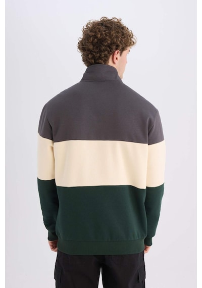 DeFacto Relax Fit Dik Yaka Fermuarlı Baskılı Kalın Sweatshirt D2562AX24AUAR63