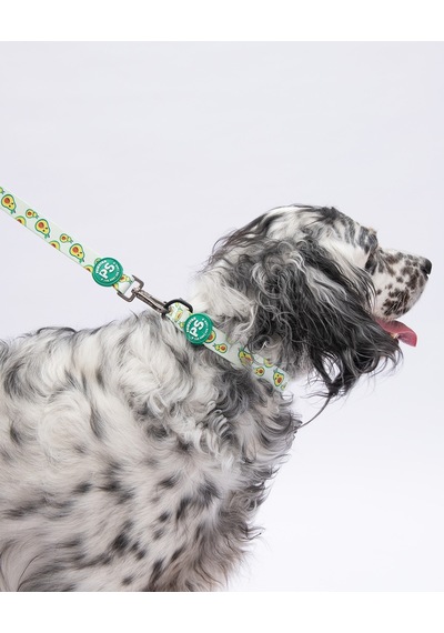 Avocado Avokado Desenli Köpek Boyun Tasması Ayarlanabilir Köpek Tasması Yeşil