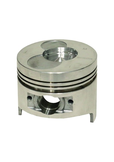 Palmera Hp17805002 Piston - Palmera Pa-Hp80D. 178