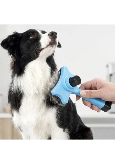 Ankaverse Otomatik Tüy Toplayıcı Pet Tarak