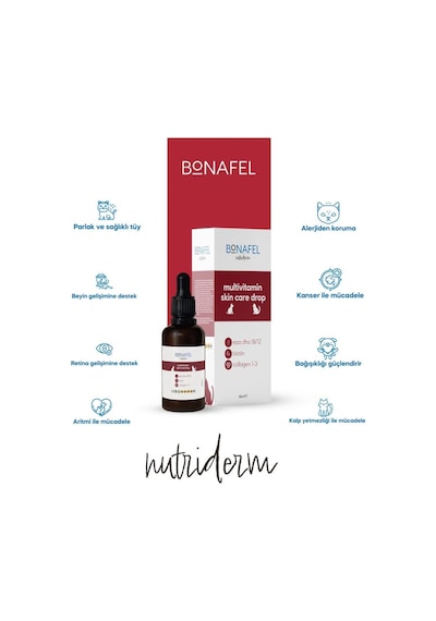 Bonafel Balık Yağı Bazlı Deri ve Tüy Sağlığı Damlası 50 ML