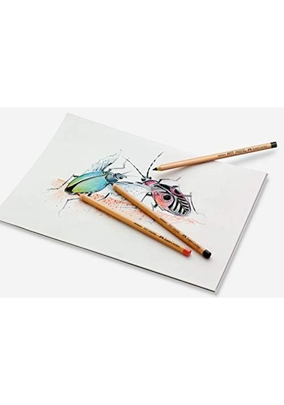 Monochrome Boya Kalem Fildişi 103 Ivory