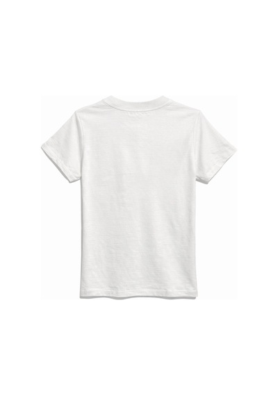 Mixray 2078 Kadın Pamuk Ayıcık Nakışlı Bisiklet Yaka T-shirt Gri