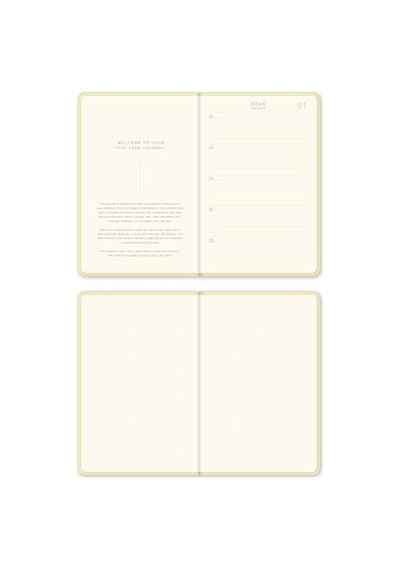 Lorex Şeffaf Koli Bandı, 45mm X 100 Metre 10