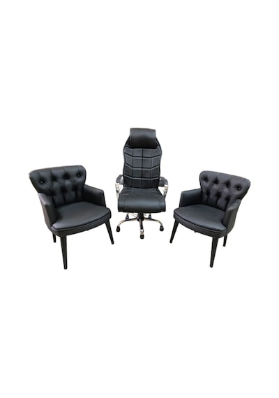 Garden House 2 Tekli Siyah Deri Berjer Ve Makam Koltuğu - Ofis, Bekleme, Kuaför Takımı Siyah Garden House 2 Tekli Siyah Deri Berjer Ve Makam Koltuğu - Ofis, Bekleme, Kuaför Takımı Siyah