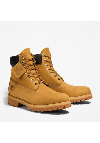 Timberland Timberland Premium 6 İnch Lace Up Waterp Erkek Bot-34011 Kahverengi