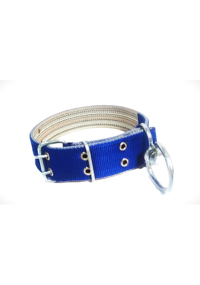 İri Ve Büyük Cinsler İçin Kanğal Köpek Tasması 80x5 Cm Mavi