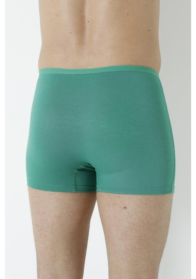 Arma Yıldız Erkek Bambu Boxer Yeşil İnce Bel Lastikli 5'li Paket-yeşil Yeşil