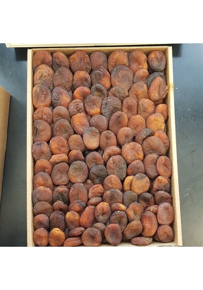 Toptan Gün Kurusu Kayısı Naturel 10 Kg