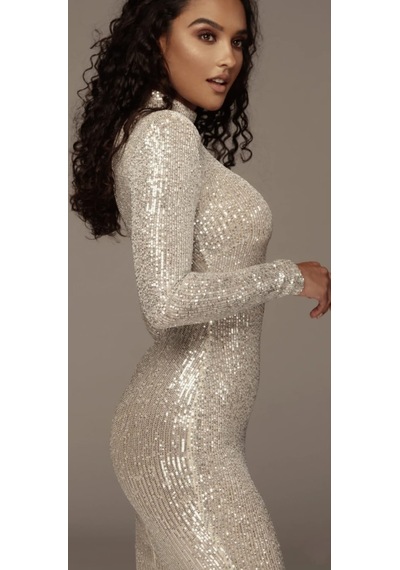 Hanife Glam Couture Balıkçı Yaka Uzun Kollu Midi Elbise Gümüş