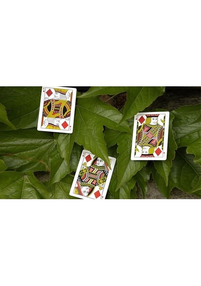 Legends Playing Cards Mantis Premium Oyun Kağıdı İskambil Kartları Destesi