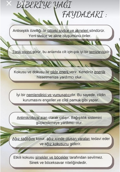 Lavendrose Biberiye Yağı %100 Bitkisel