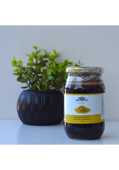 Pollinata Nutriplus Bitkisel Karışımlı Macun 420 Gr