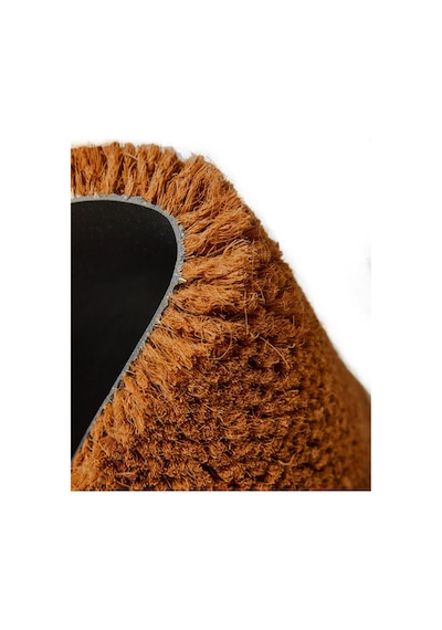 Coco Medore 40x60 Cm Kıl Paspas, Iç Ve Dış Kapı Paspası Renkli