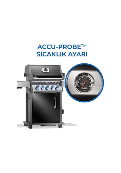 Rogue Pro S 425 Rsıb Gazlı Mangal Siyah