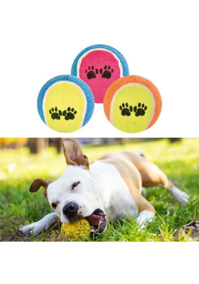3&amp Apos Lü Renkli Desenli Tenis Topu Kedi Köpek Oyuncağı 5639